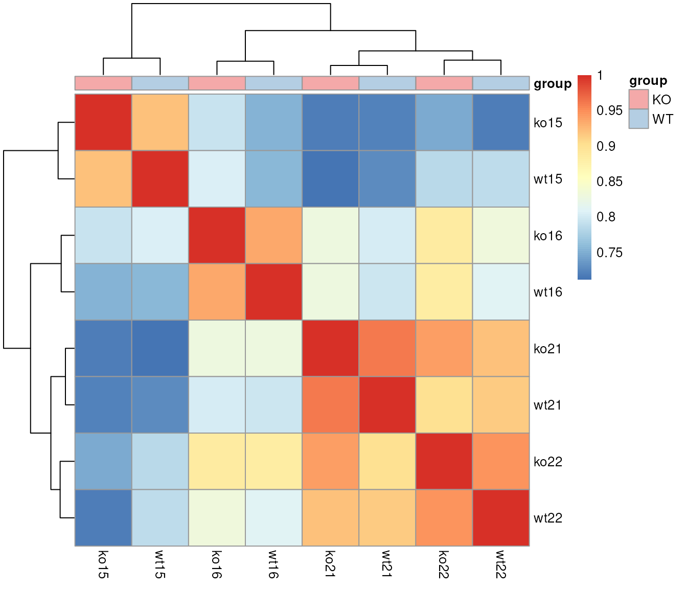 Grouping of samples based on similarity of their base peak chromatogram.